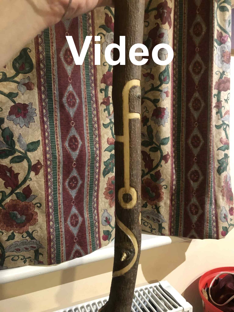 A photo of the circle line, with two horozontal lines coming off at different points from the right and left, and a curve right at the top, and another curvy line beneath in general. The word video is above the carving, which shows the staff being rotated around, where it now has two vertical circle lines, and the lower curve leading to a straight vertical line connecting to a large branch stump.