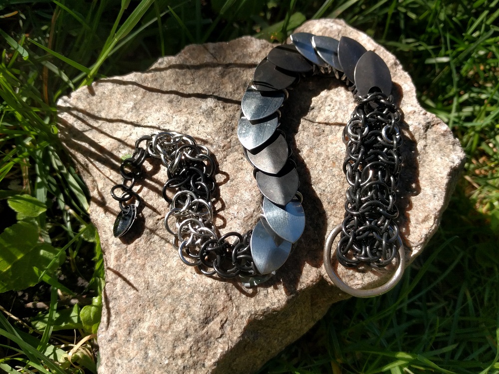 A black and silver striped legless dragon, laying on top of a rock on the grass in the sun.