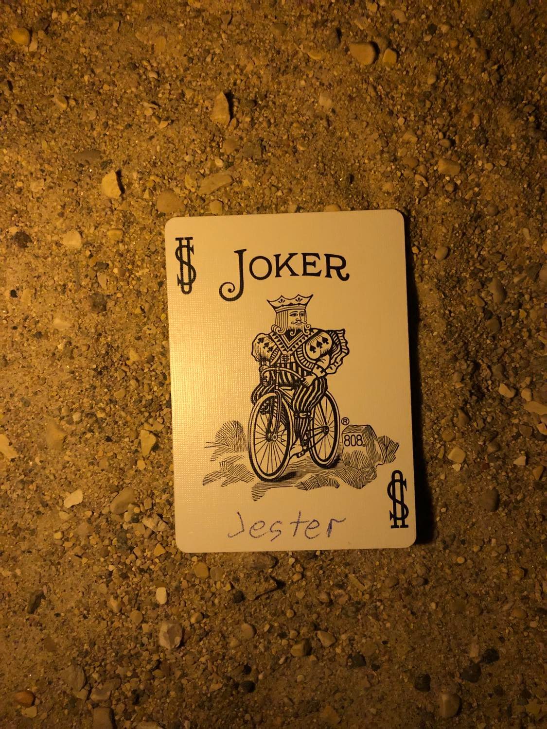 The coloured joker with Jester written on it, laying on the darkened soil.