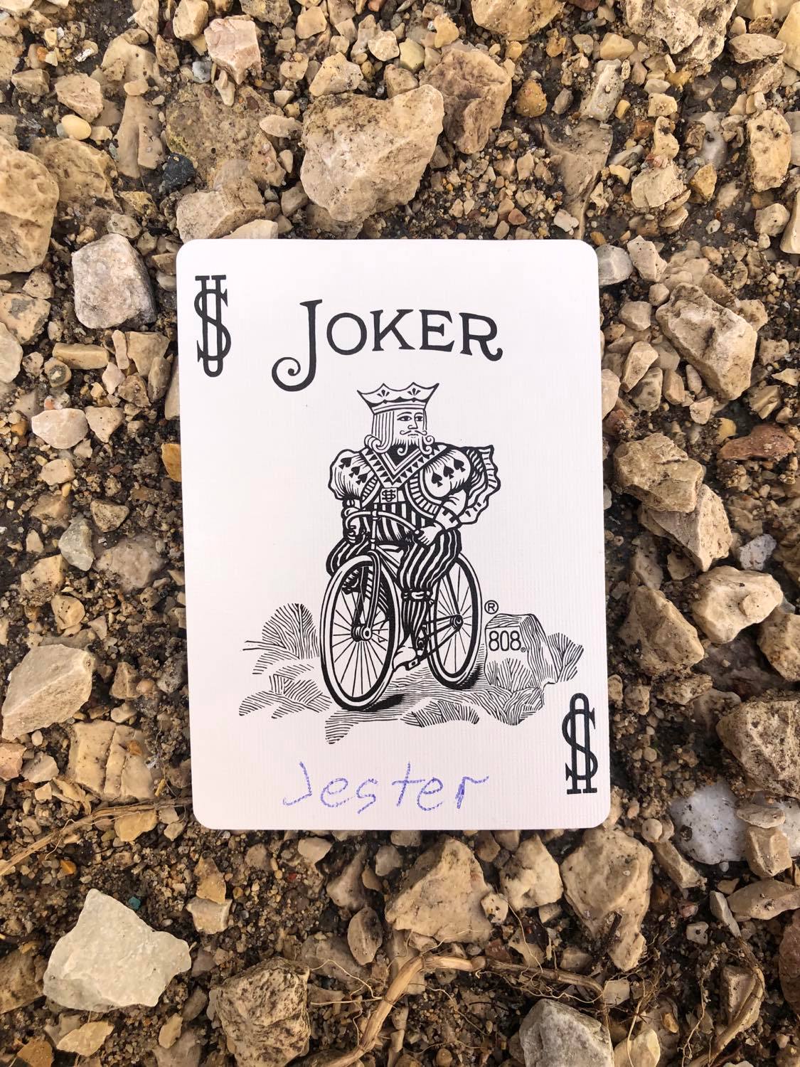The coloured joker with Jester written on it, laying on the gravel path.