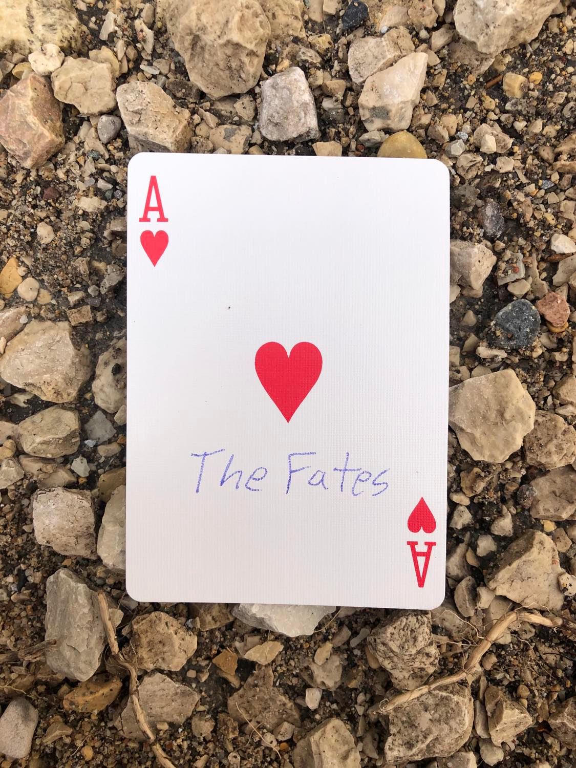 The ace of hearts with The Fates written on it, laying on the gravel path.