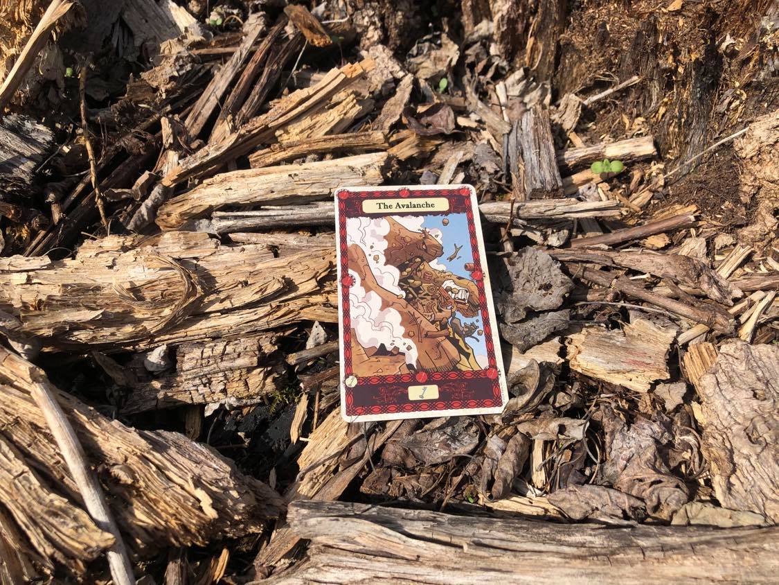 A crumbling mountain, the card laying on the forest debris.