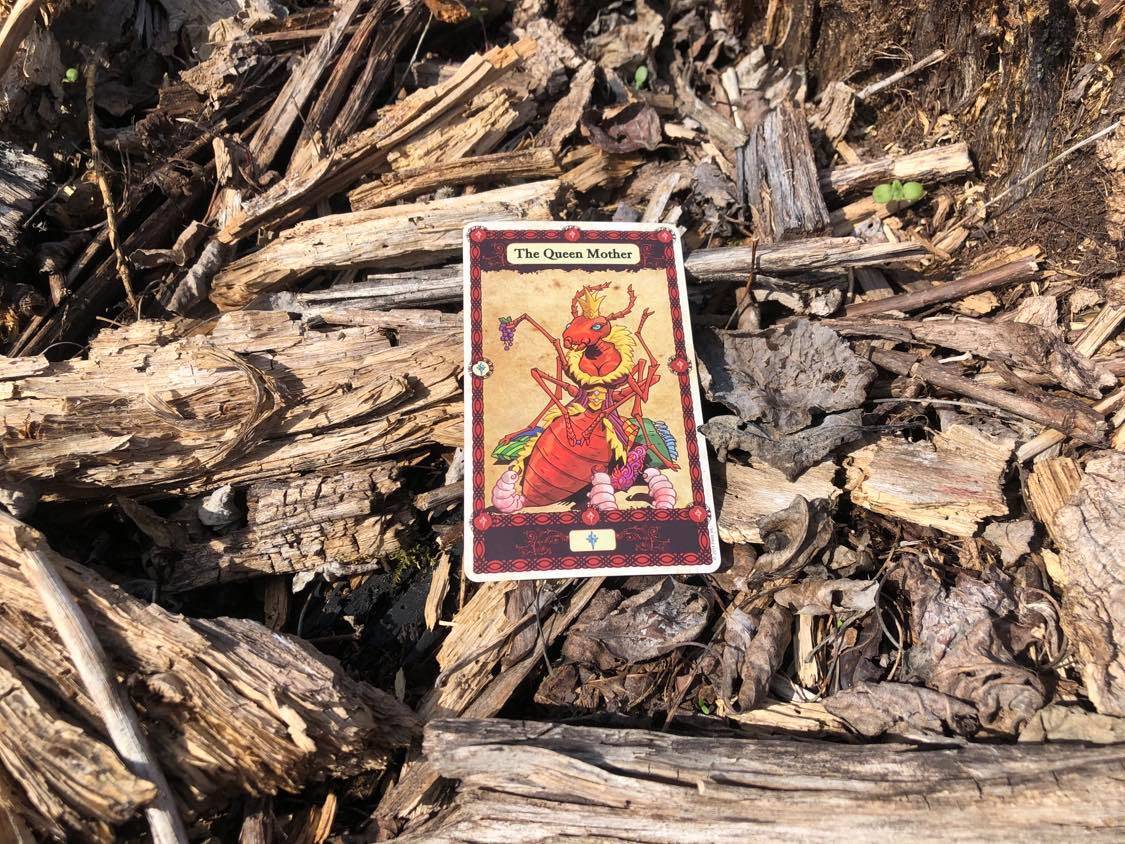 A humanoid ant queen and her young, the card laying on the forest debris.