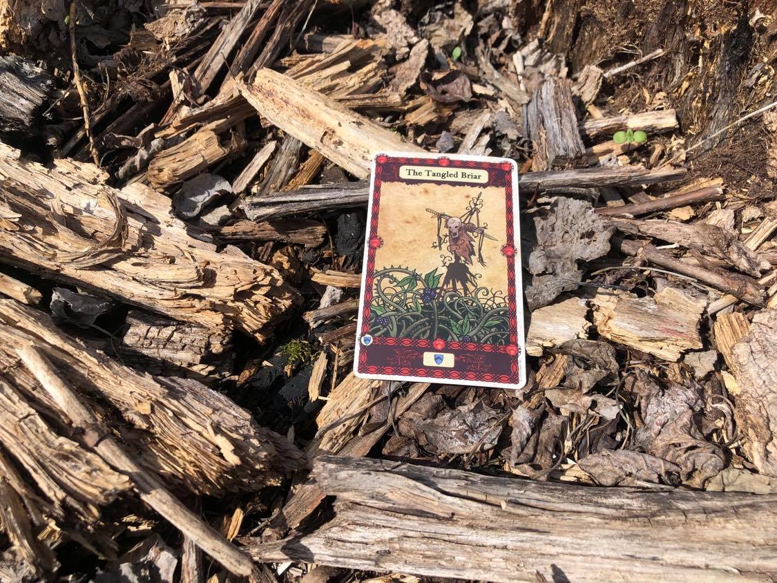 A bony scarecrow in a field of thorns, the card laying on the forest debris.