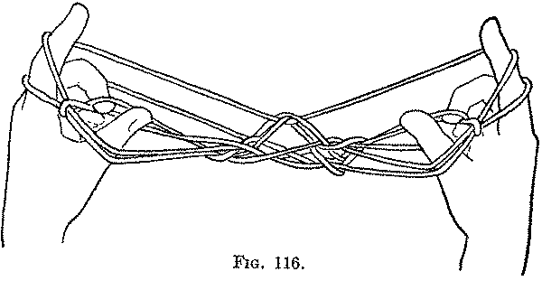 Fig. 116