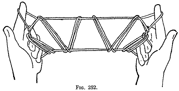 Fig. 252