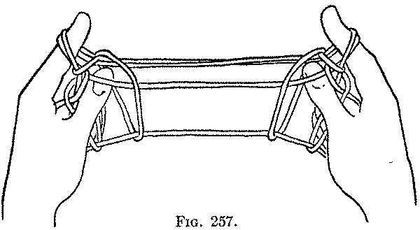 Fig. 257