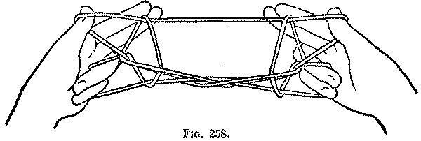 Fig. 258