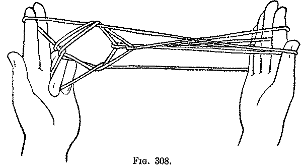 Fig. 308