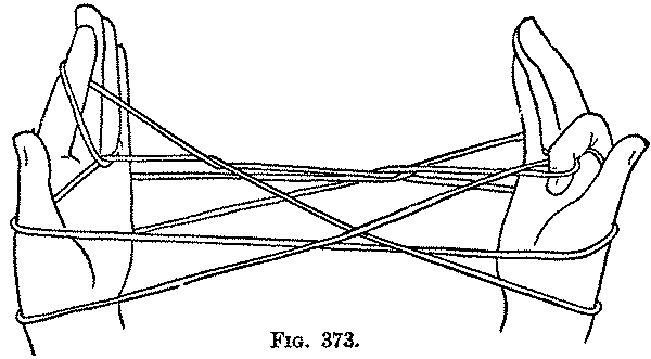 Fig. 373