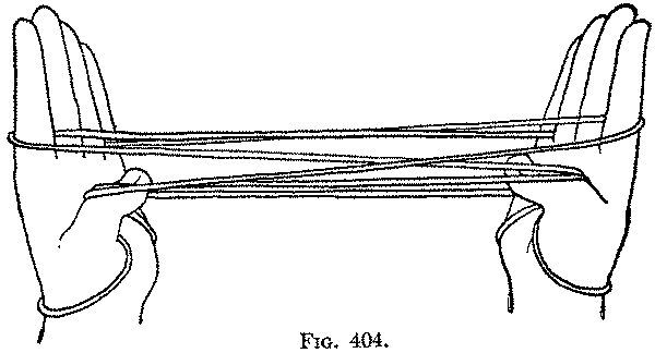 Fig. 404