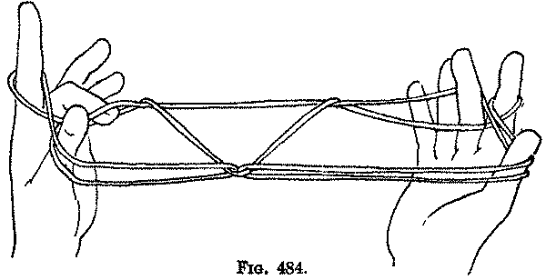 Fig. 484