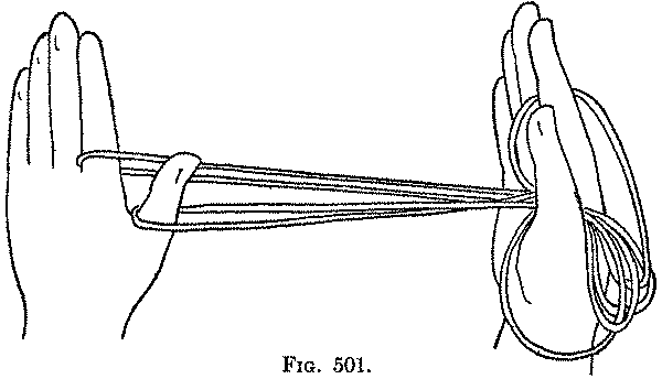 Fig. 501