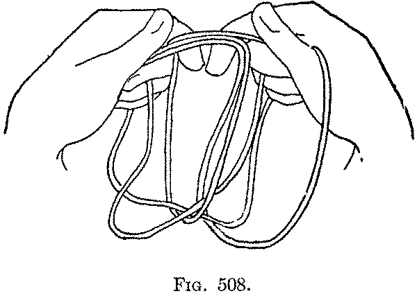 Fig. 508