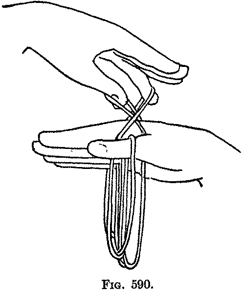 Fig. 590