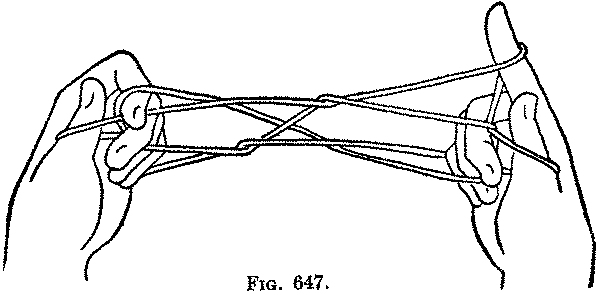 Fig. 647