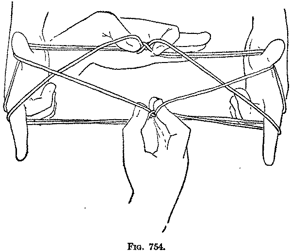 Fig. 754