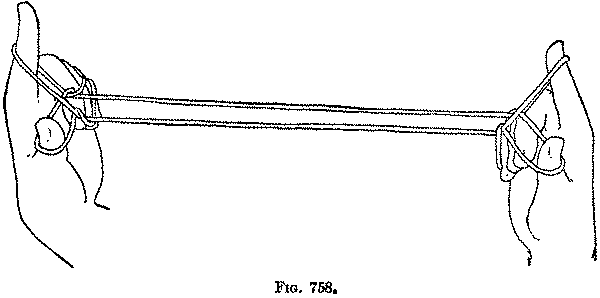 Fig. 758