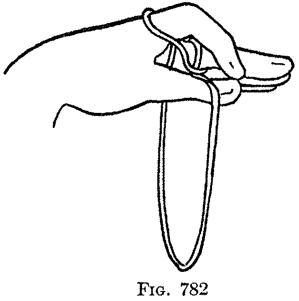 Fig. 782