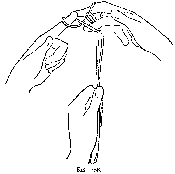 Fig. 788