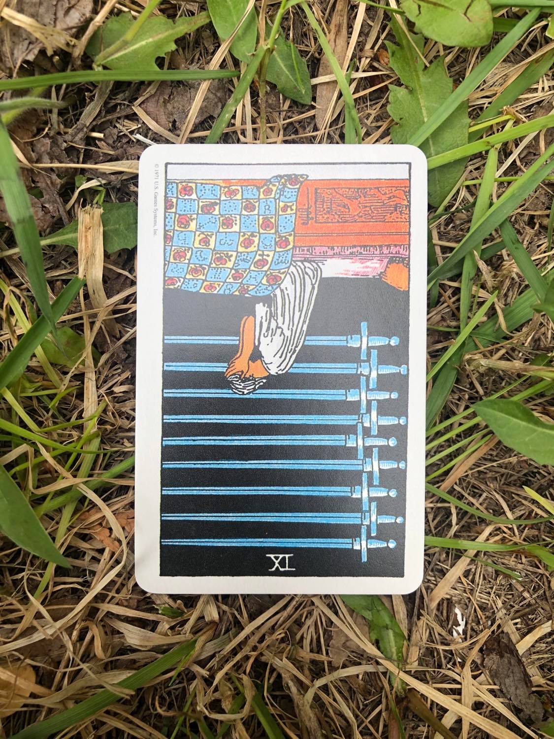 The Nine of Swords, inverted, laying in the grass.