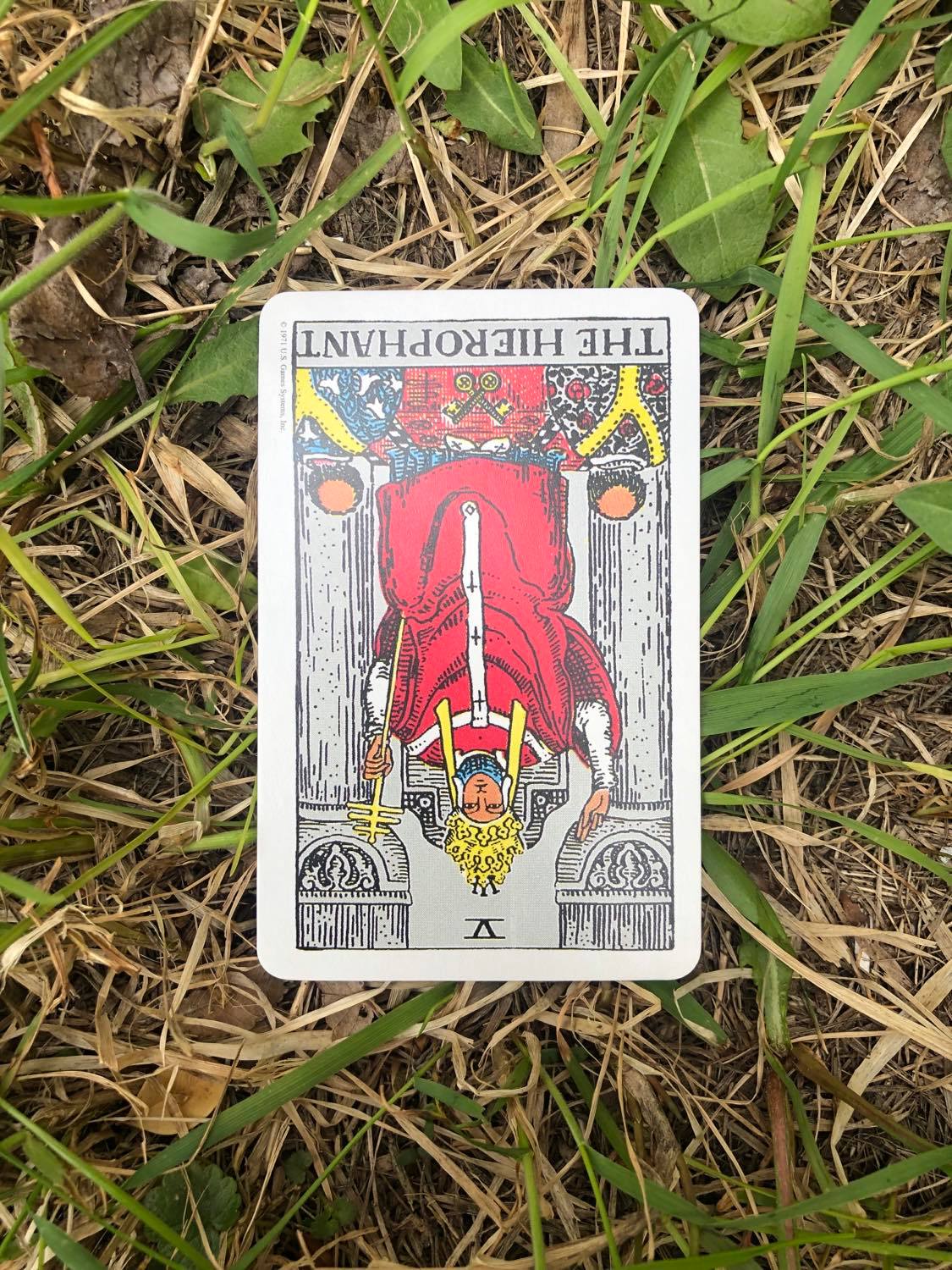 The heirophant, inverted, laying in the grass.