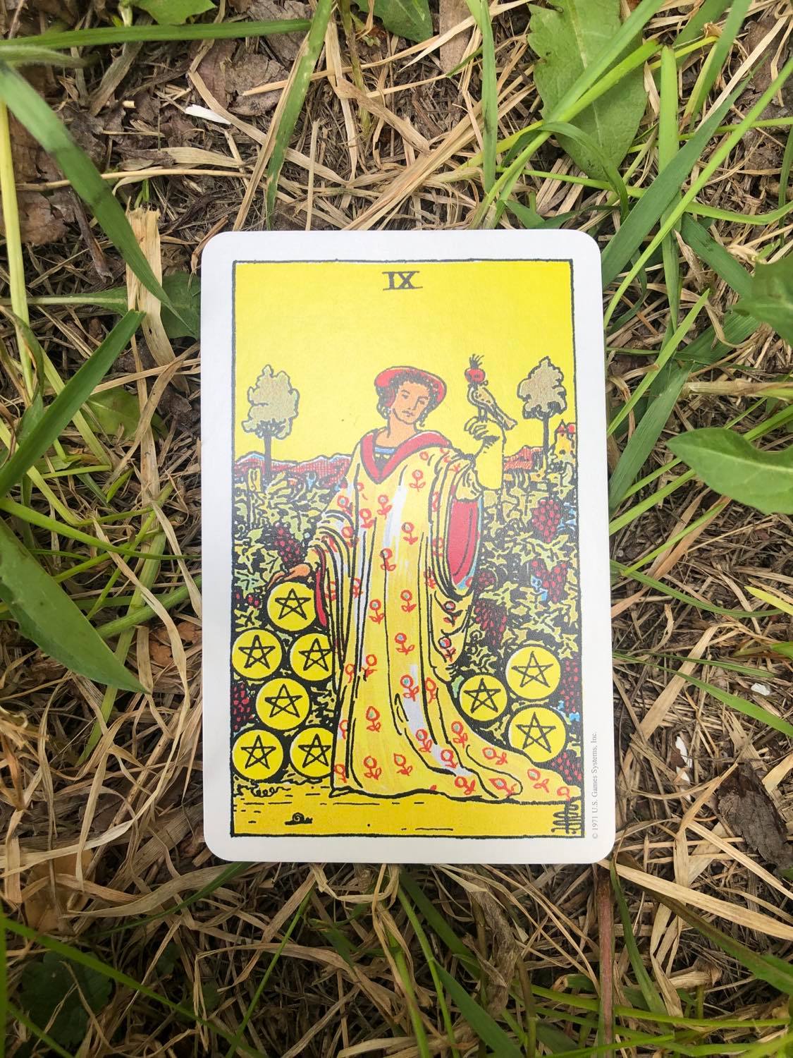 The Nine of Pentacles, upright, laying in the grass.