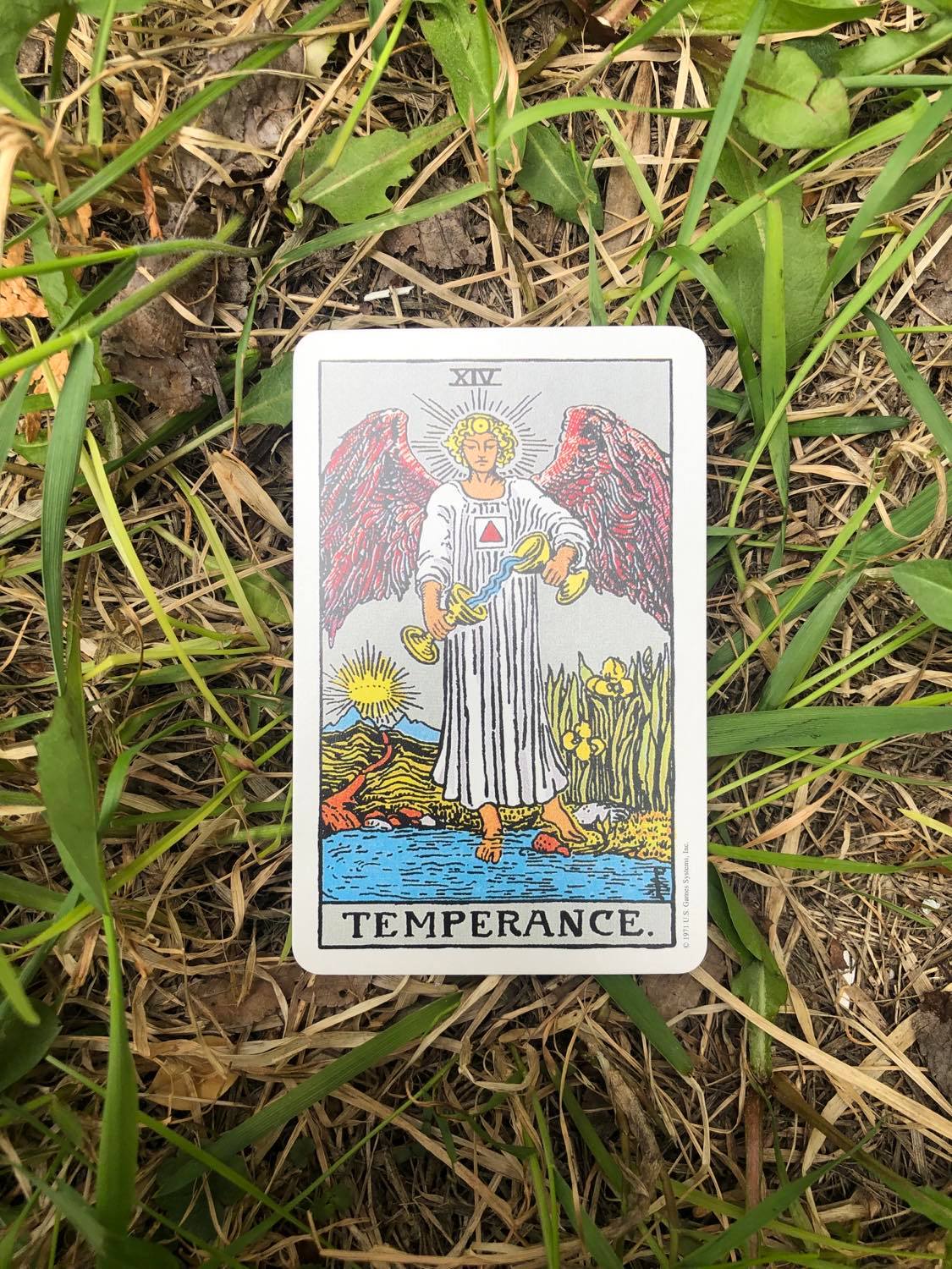Temperance, upright, laying in the grass.