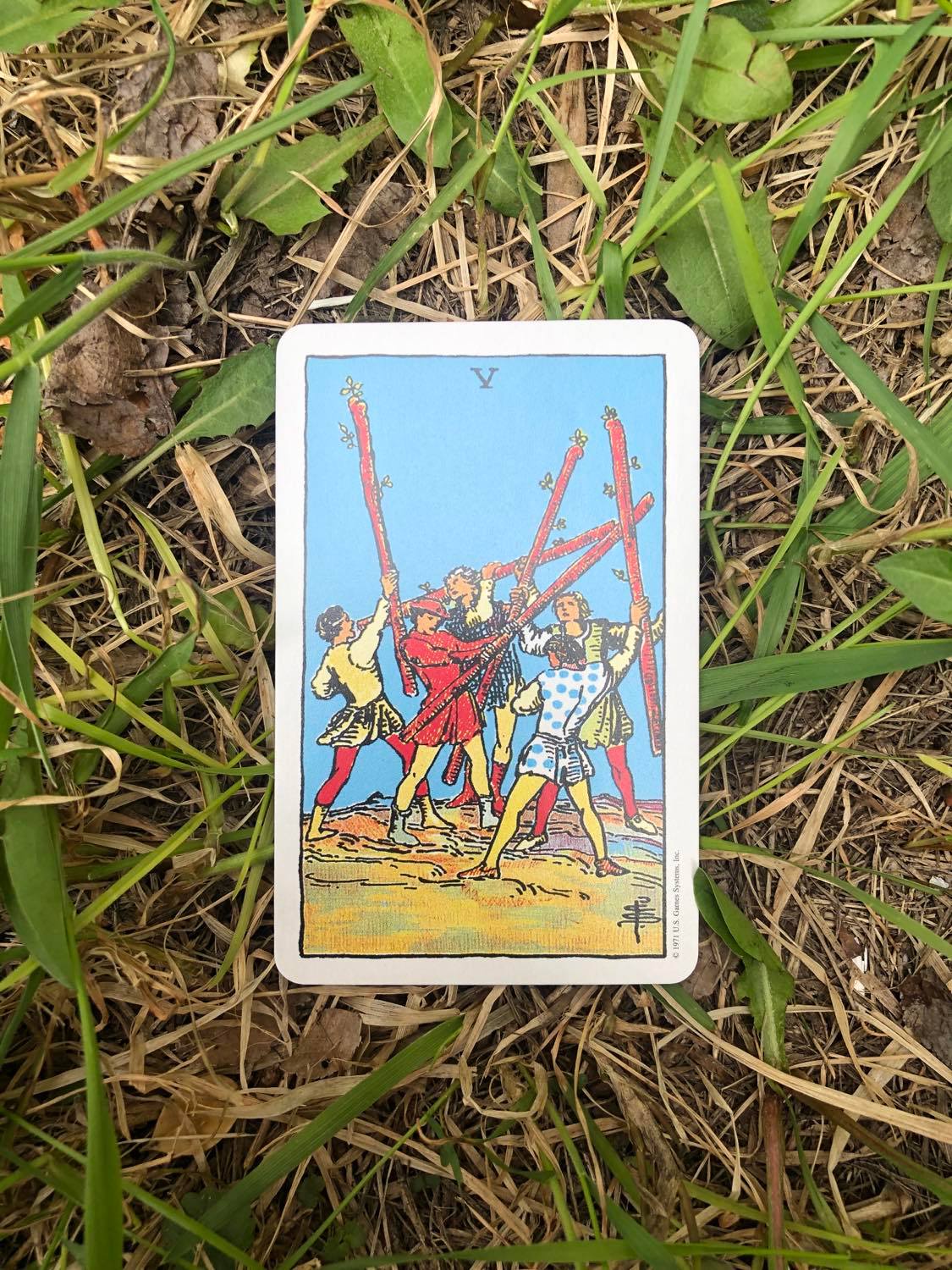 The Five of Wands, upright, laying in the grass.