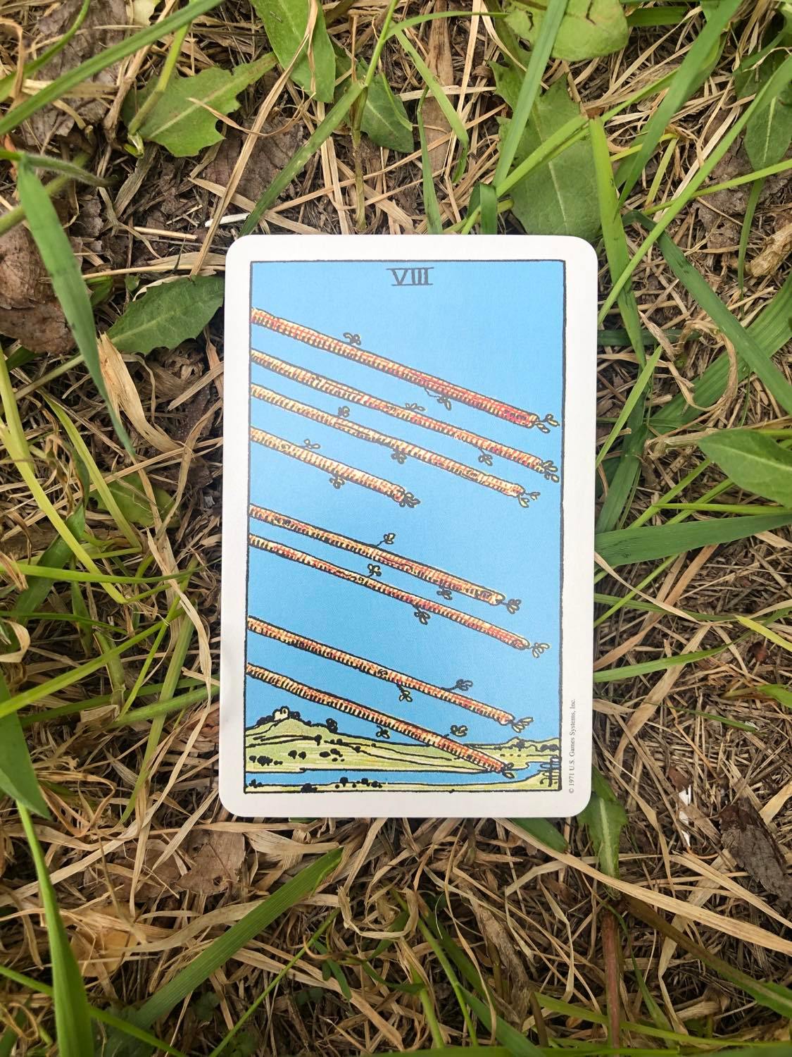 The Eight of Wands, upright, laying in the grass.