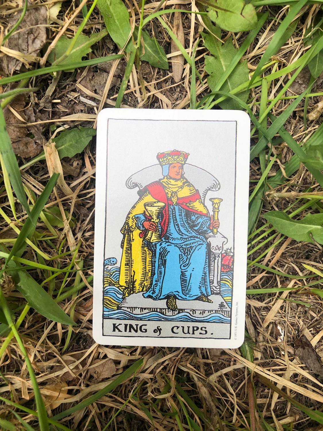 The King of Cups, upright, laying in the grass.