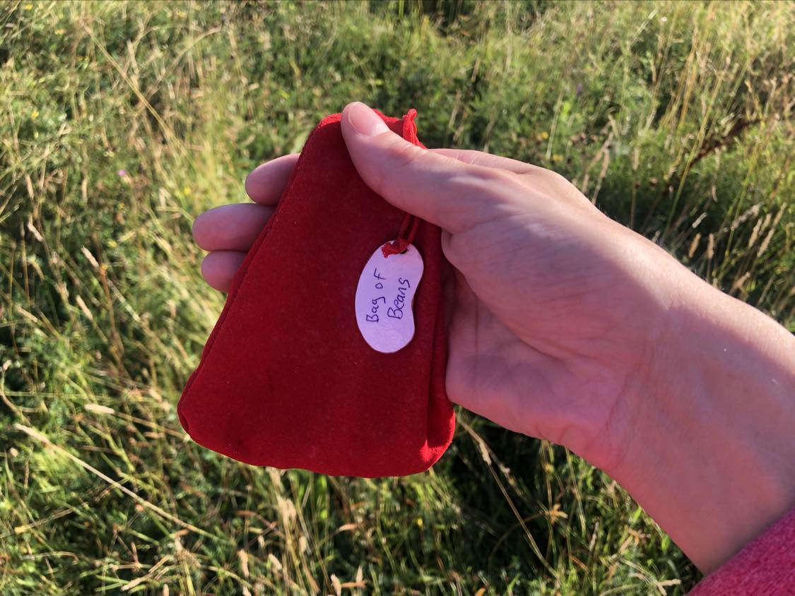 Holding up a red pouch labelled Bag of Beans over a grassy field.