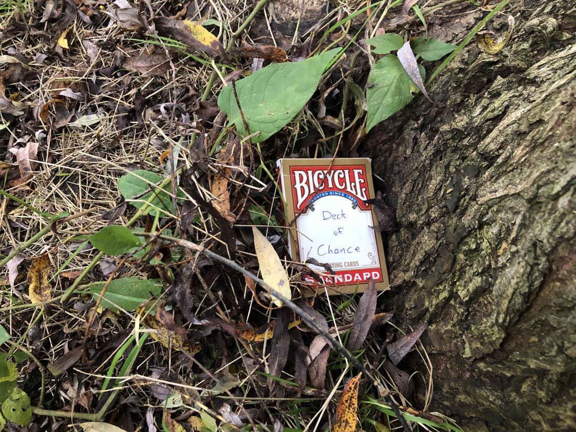 The Deck of Chance, a magical deck found hidden at the base of a tree beneath a bed of leaves. Magical cards lay waiting inside.