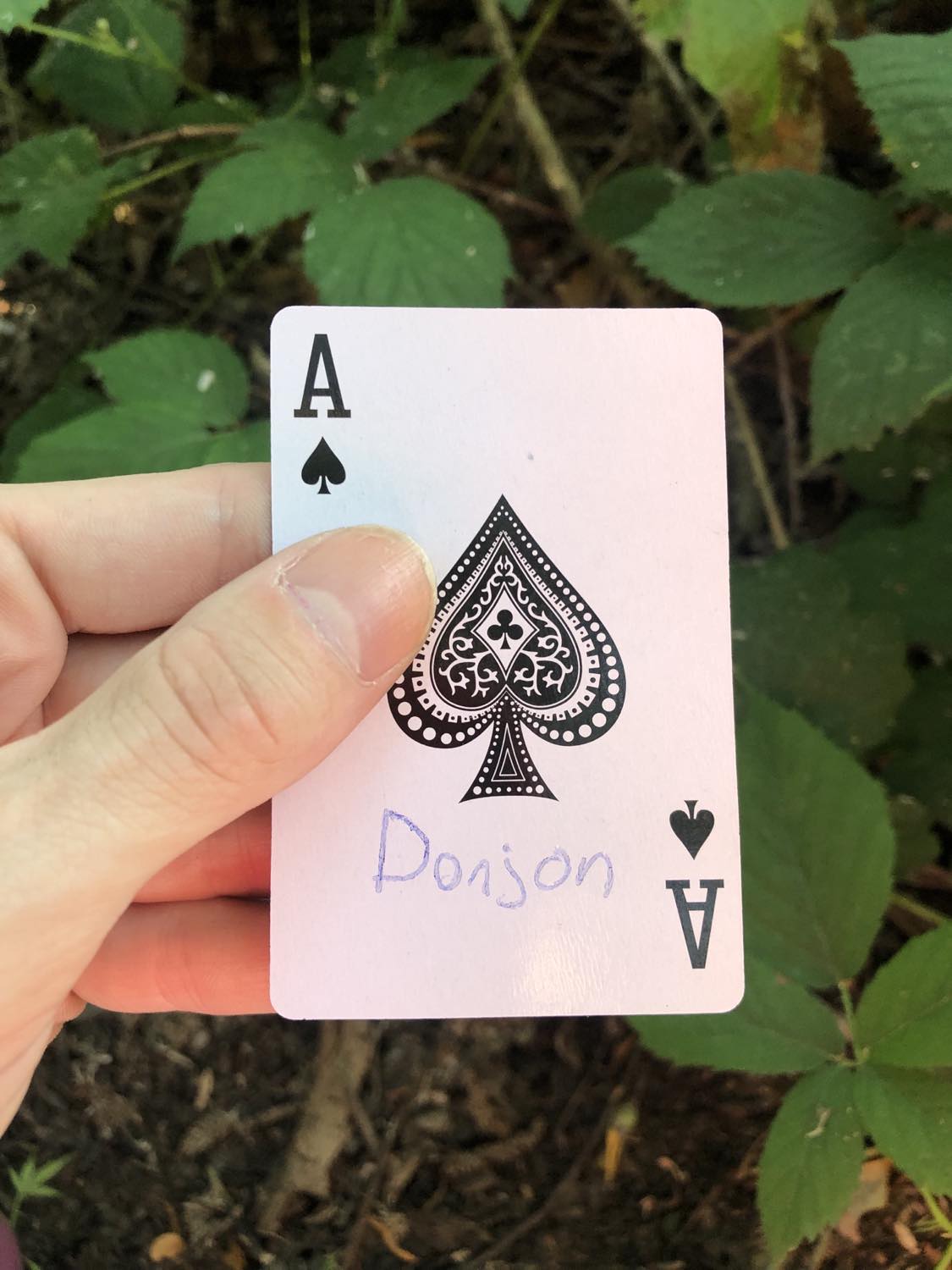 The ace of spades with the word Donjon written on it, held above the brush.