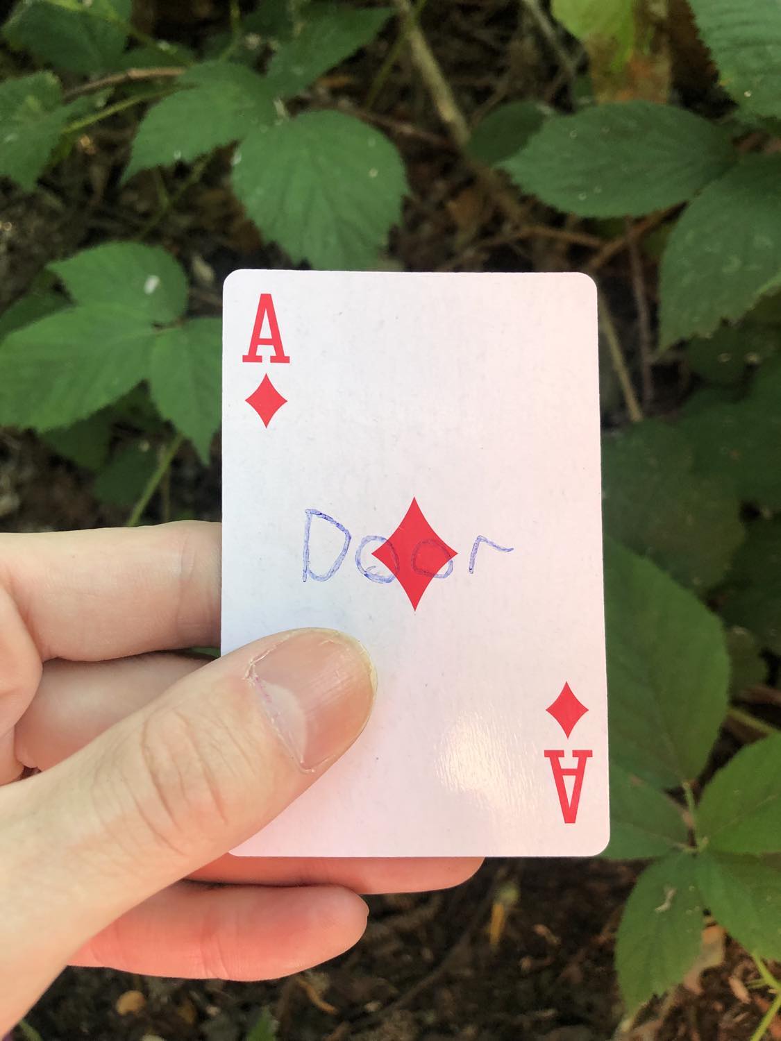 The ace of diamonds with the word Door written on it, held above the brush.