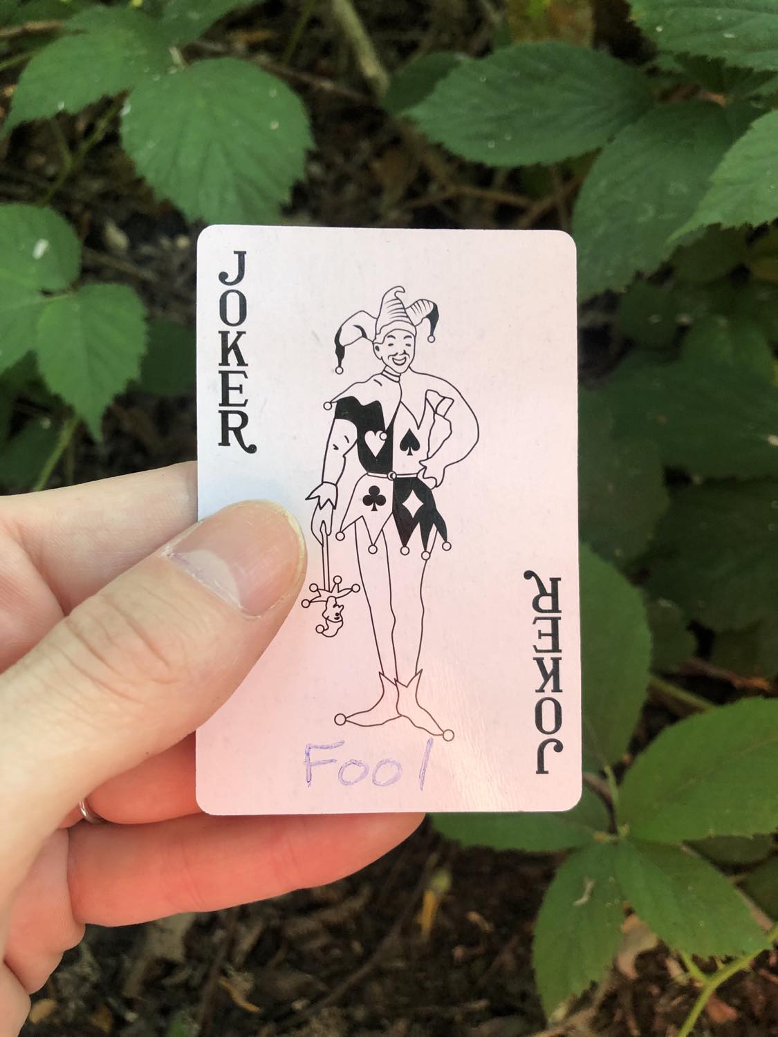 The coloured joker with the word Fool written on it, held above the brush.