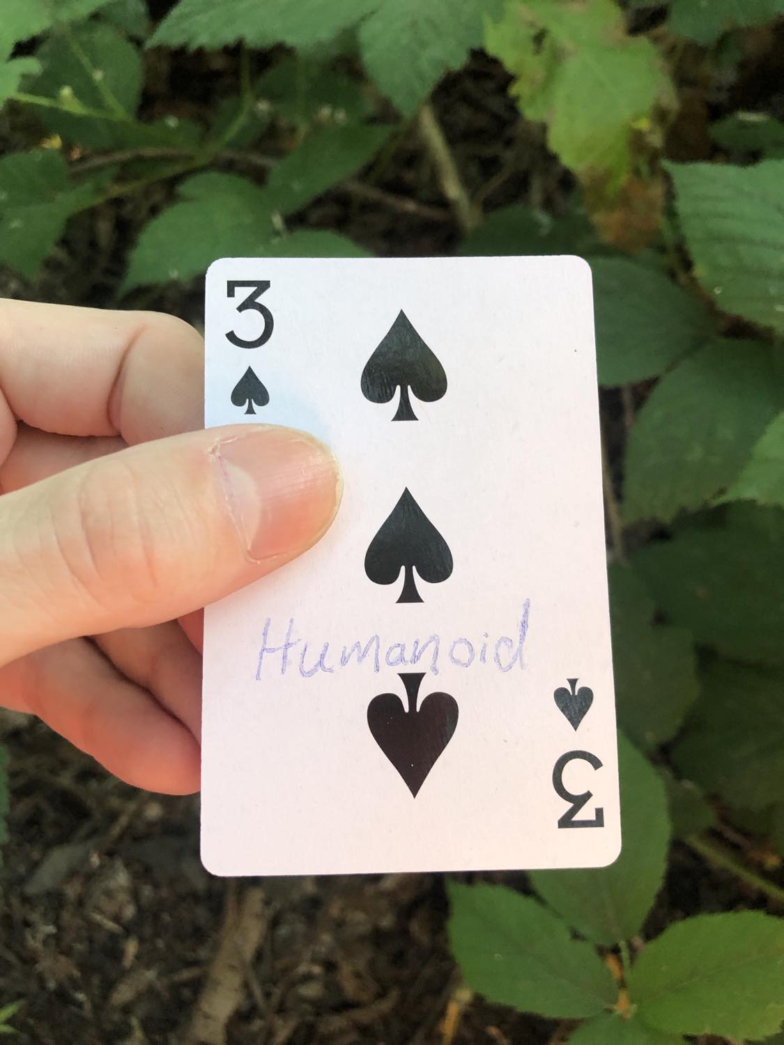 The three of spades with the word Humanoid written on it, held above the brush.