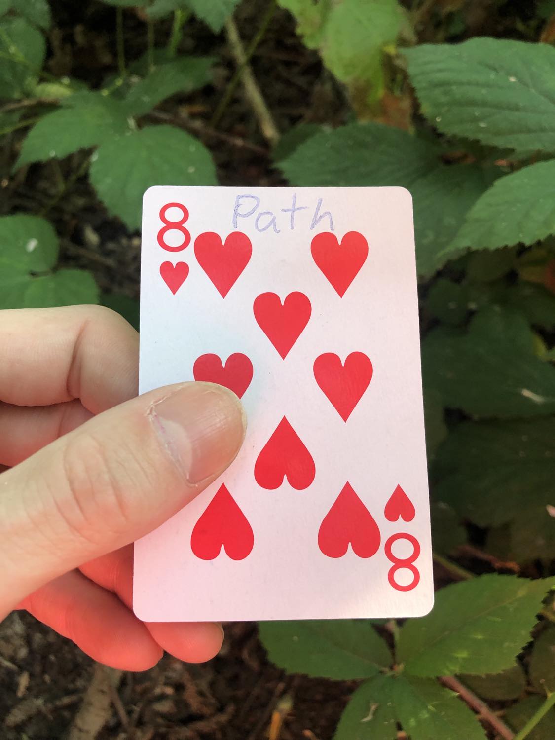 The eight of hearts with the word Path written on it, held above the brush.