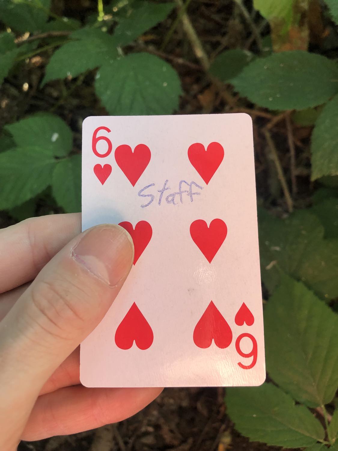 The six of hearts with the word Staff written on it, held above the brush.