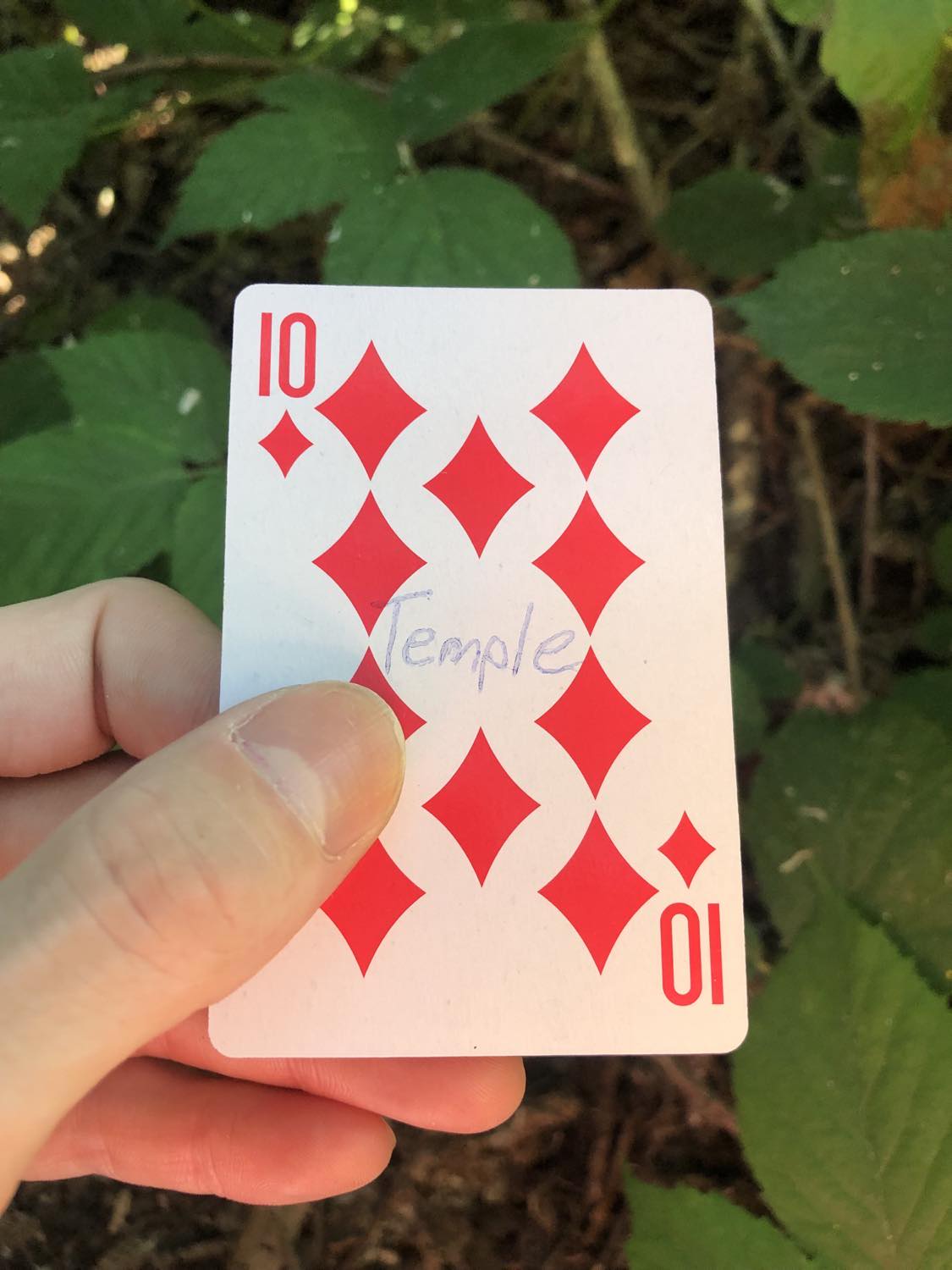 The ten of diamonds with the word Temple written on it, held above the brush.