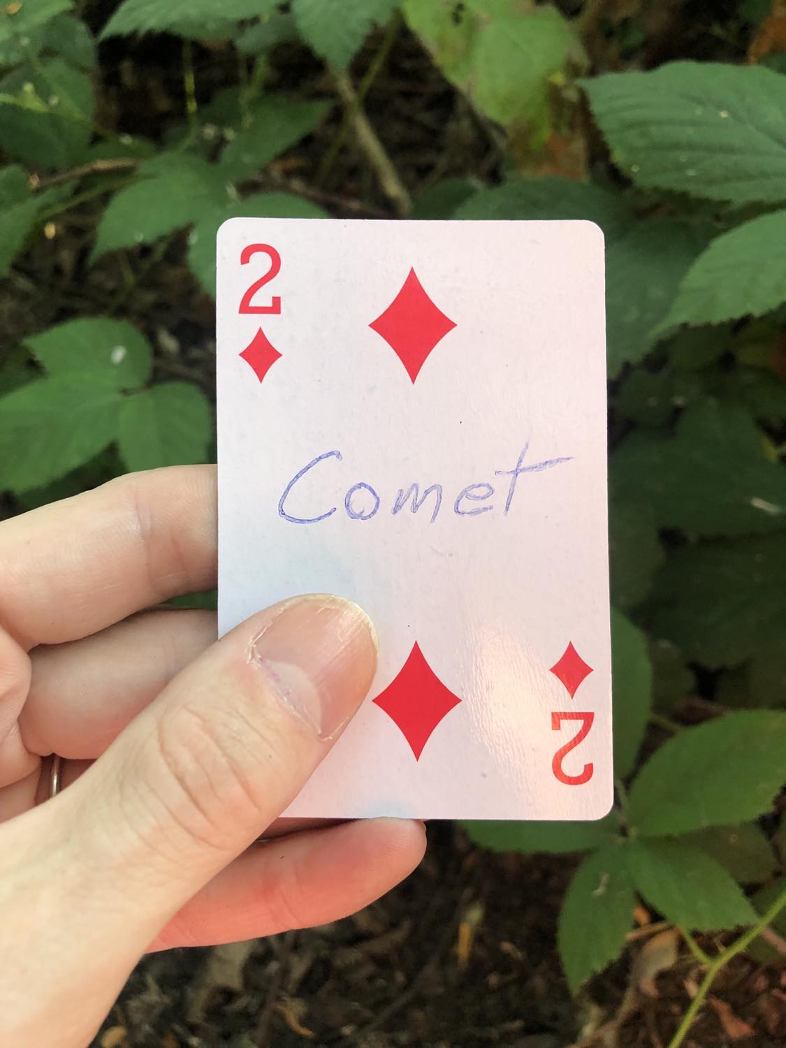 The two of diamonds with the word Comet written on it, held above the brush.