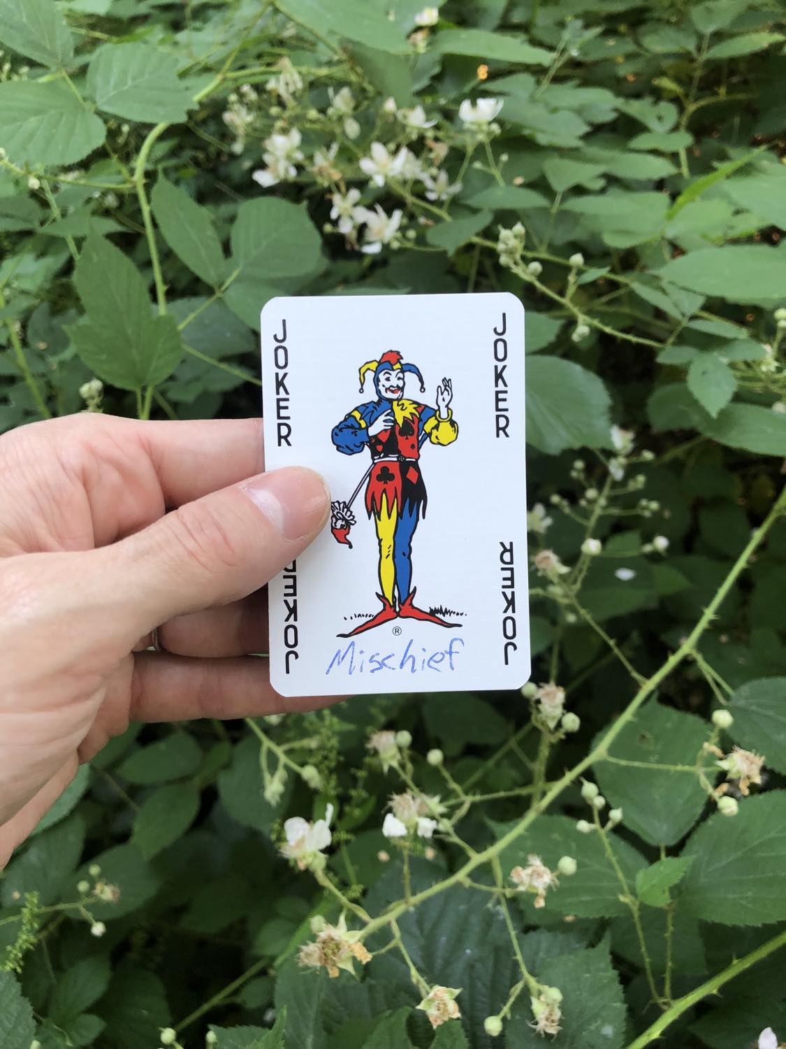 The coloured joker with the word Mischief written on it, held above the flowers.