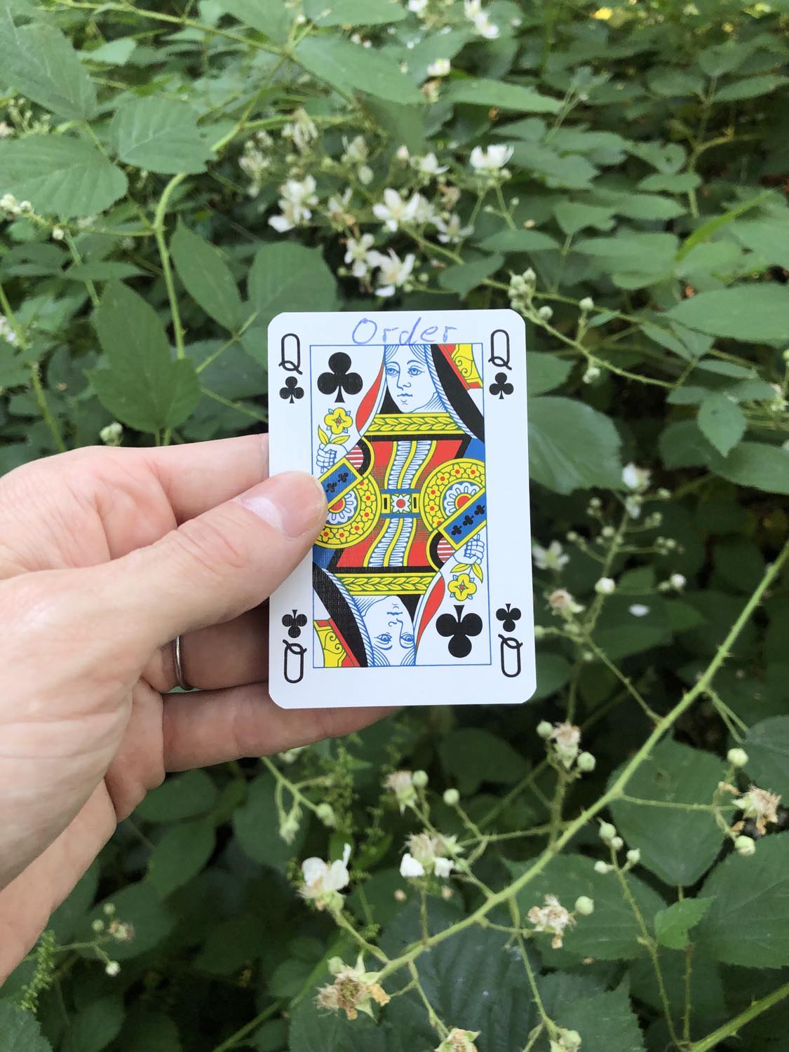 The queen of clubs with the word Order written on it, held above the flowers.