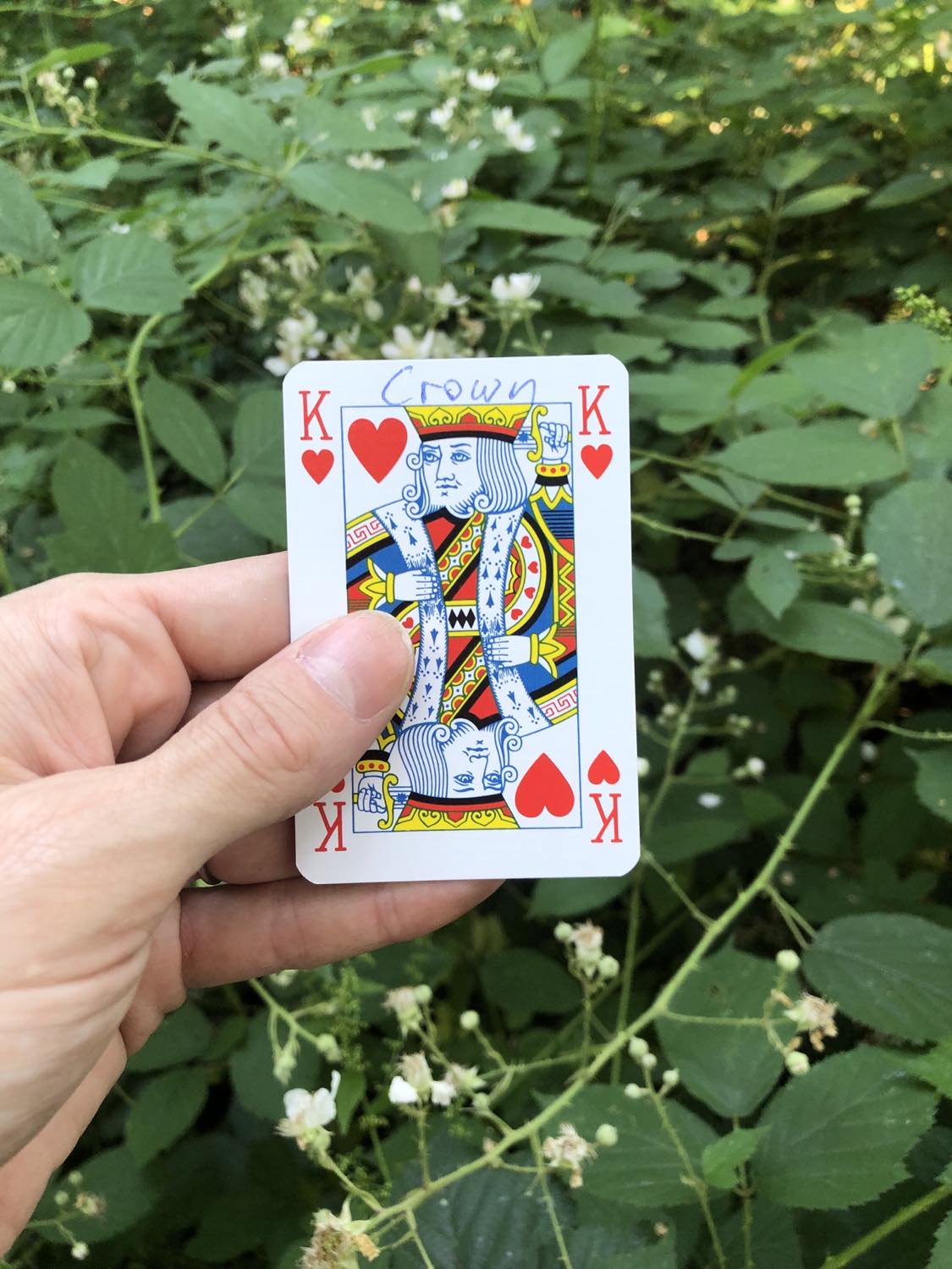 The king of hearts with the word Crown written on it, held above the flowers.