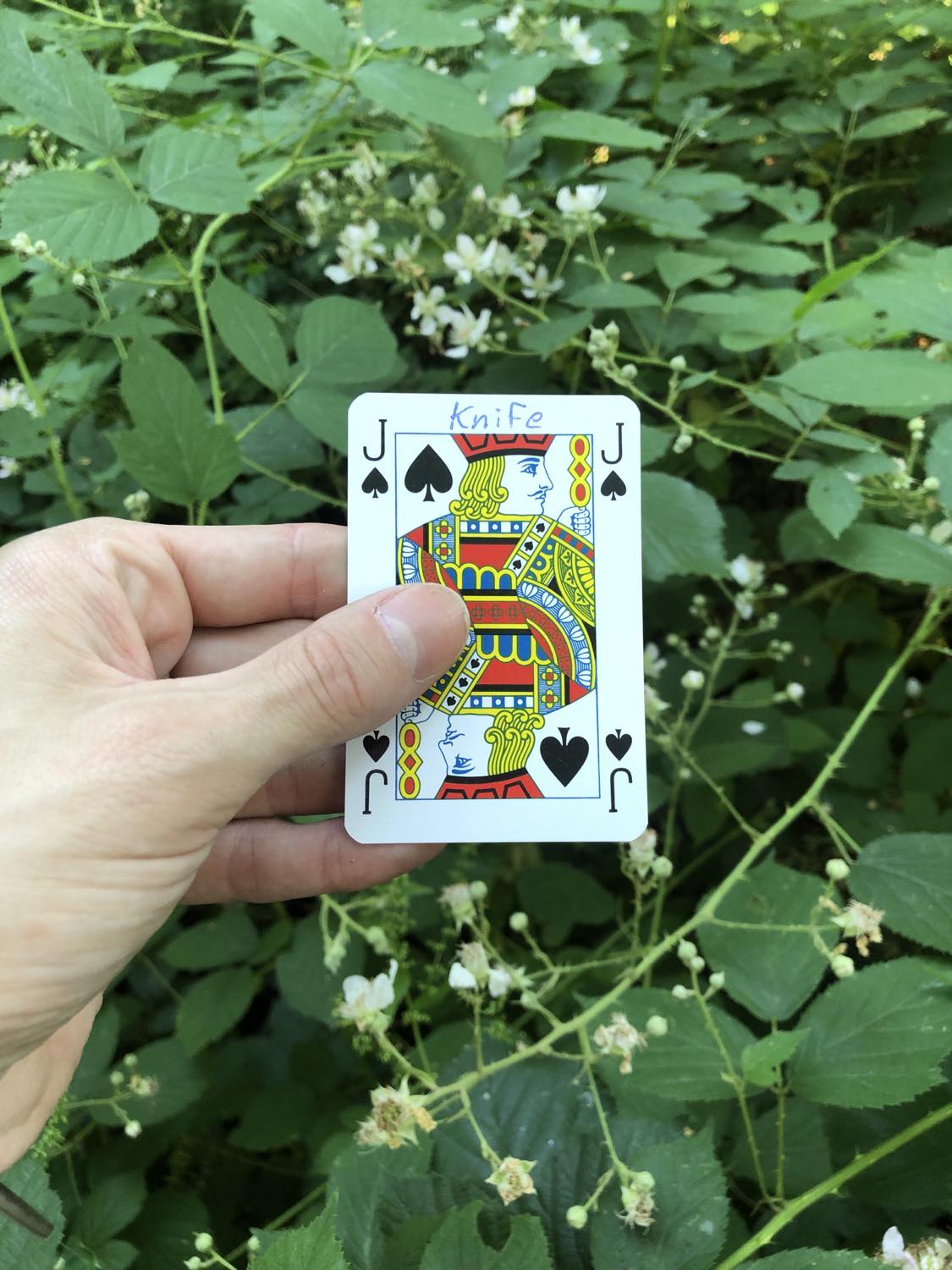 The jack of spades with the word Knife written on it, held above the flowers.