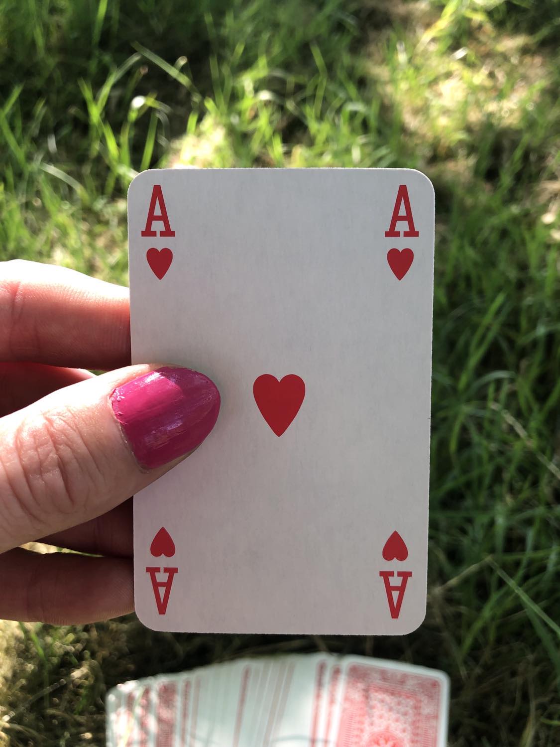The ace of hearts, held up from the drawn out cards.