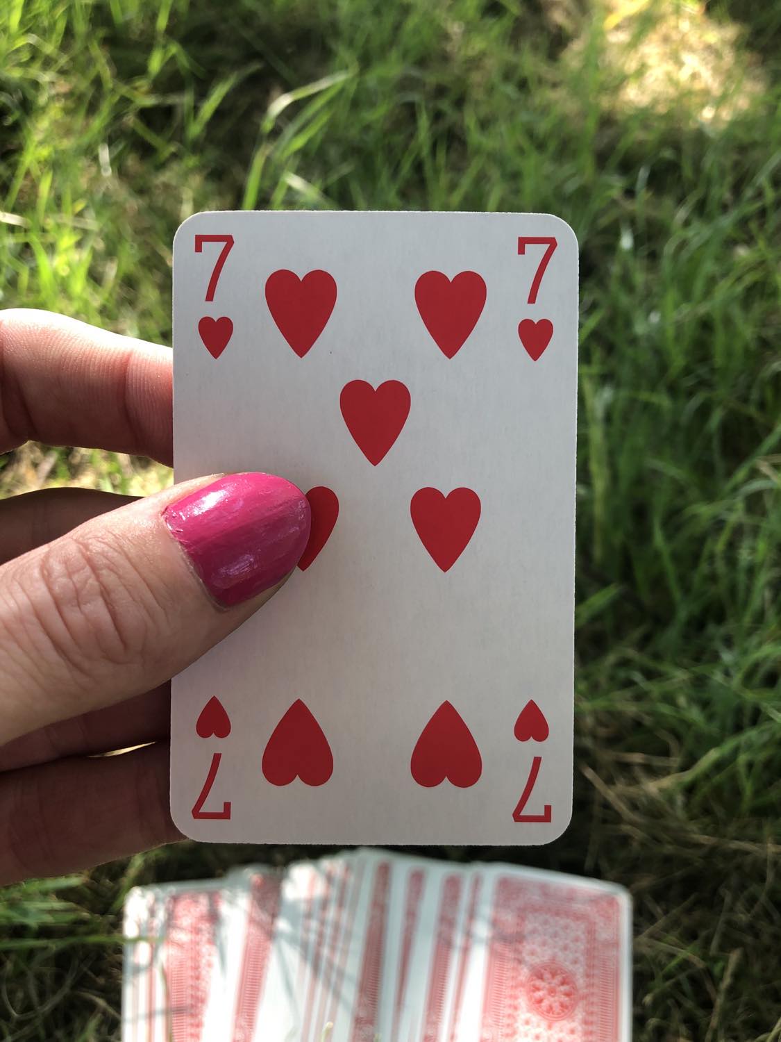 The seven of hearts, held up from the drawn out cards.