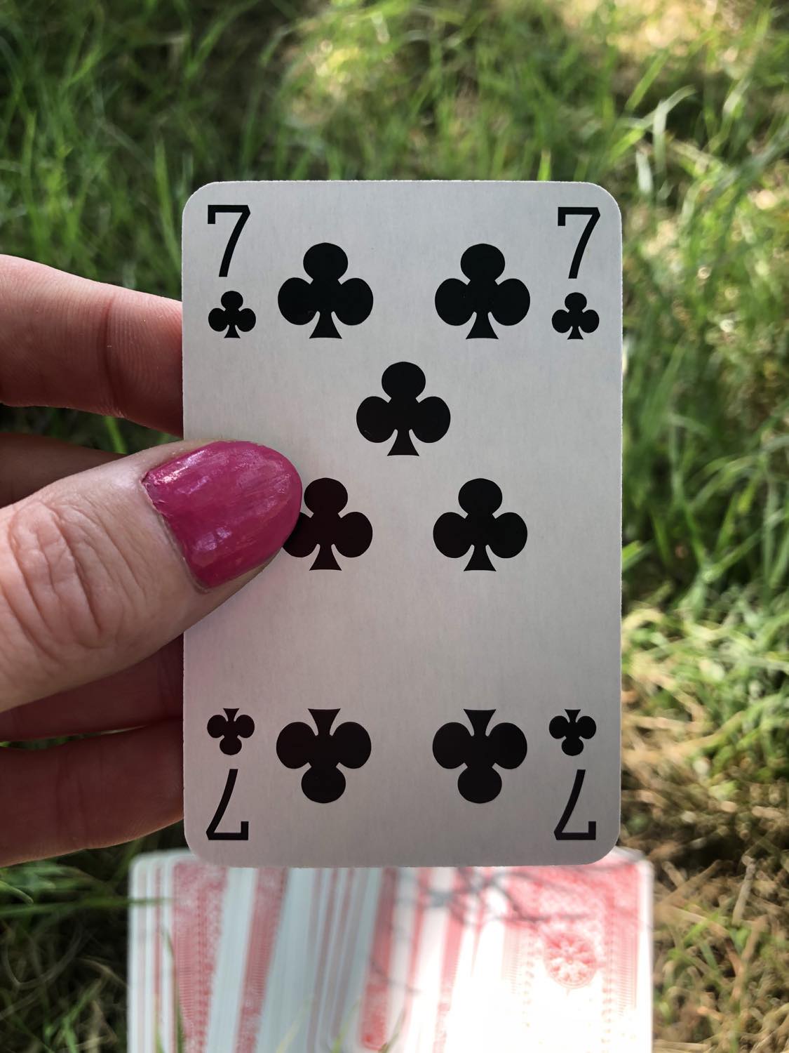 The seven of clubs, held up from the drawn out cards.