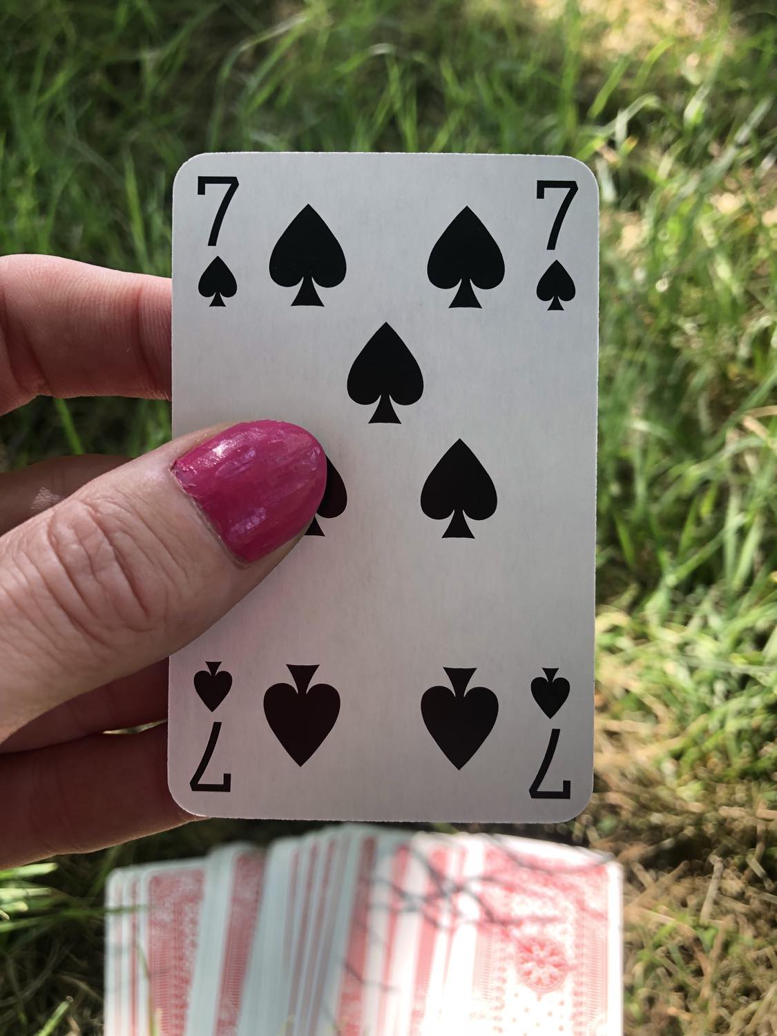 The seven of spades, held up from the drawn out cards.