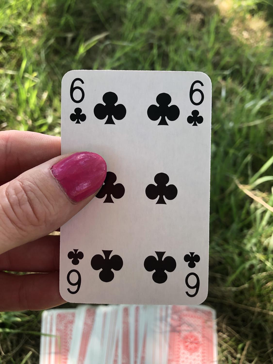 The six of clubs, held up from the drawn out cards.